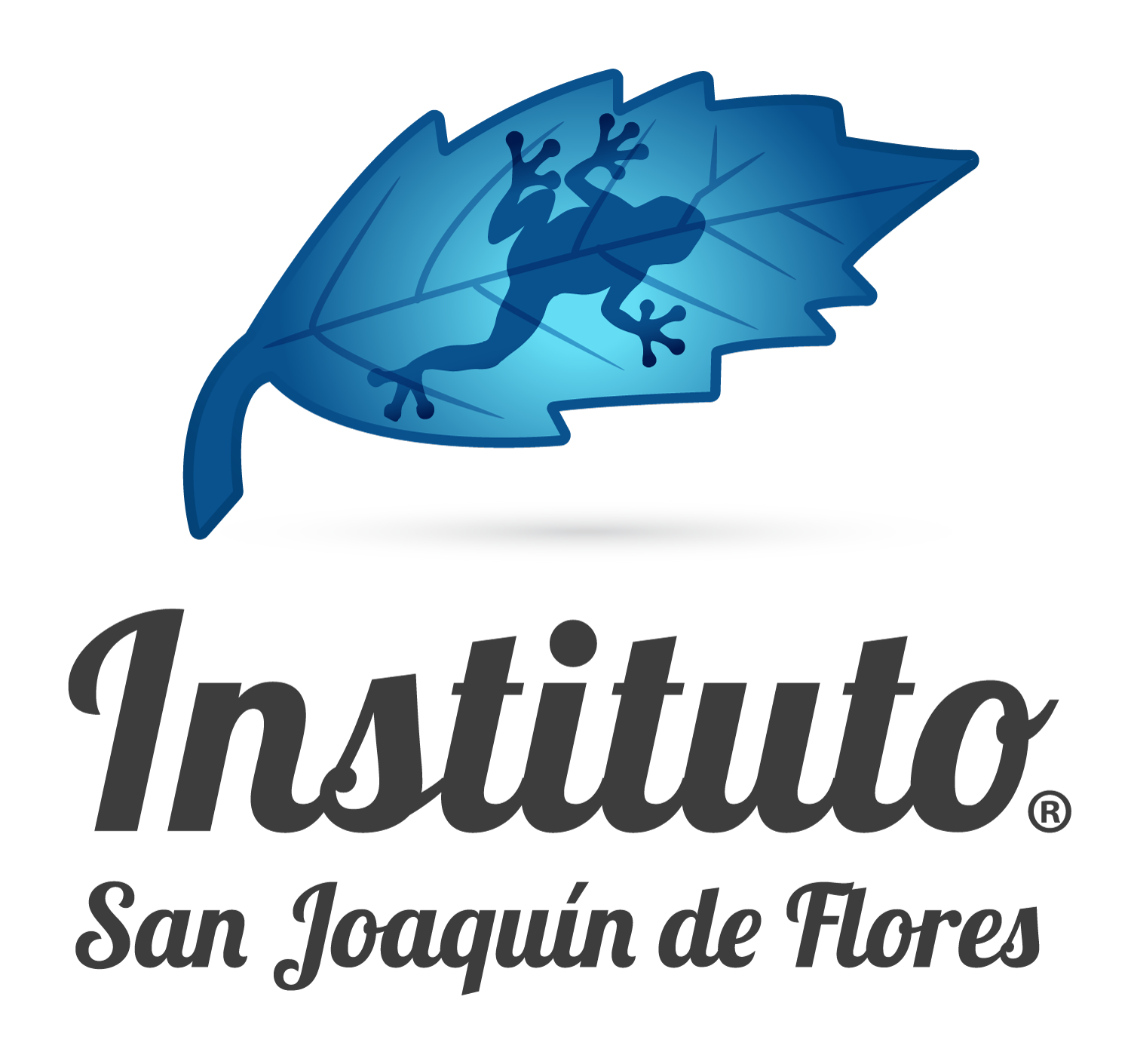 Instituto San Joaquin