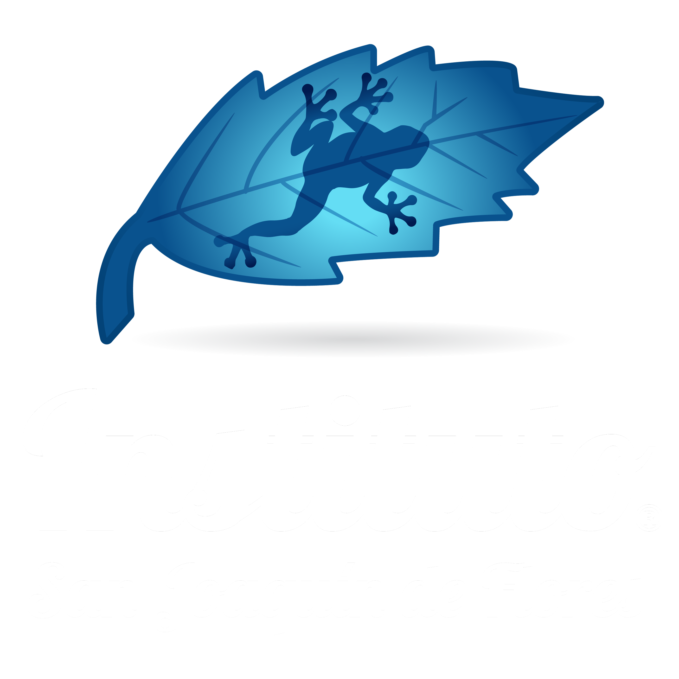 Instituto San Joaquin